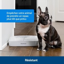 Distributeur automatique - PETSAFE - 2 repas - Plastique sans BPA - 30