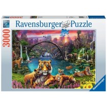 Puzzle 3000 pieces Tigres au lagon, Adulte, A partir de 14 ans, 000167