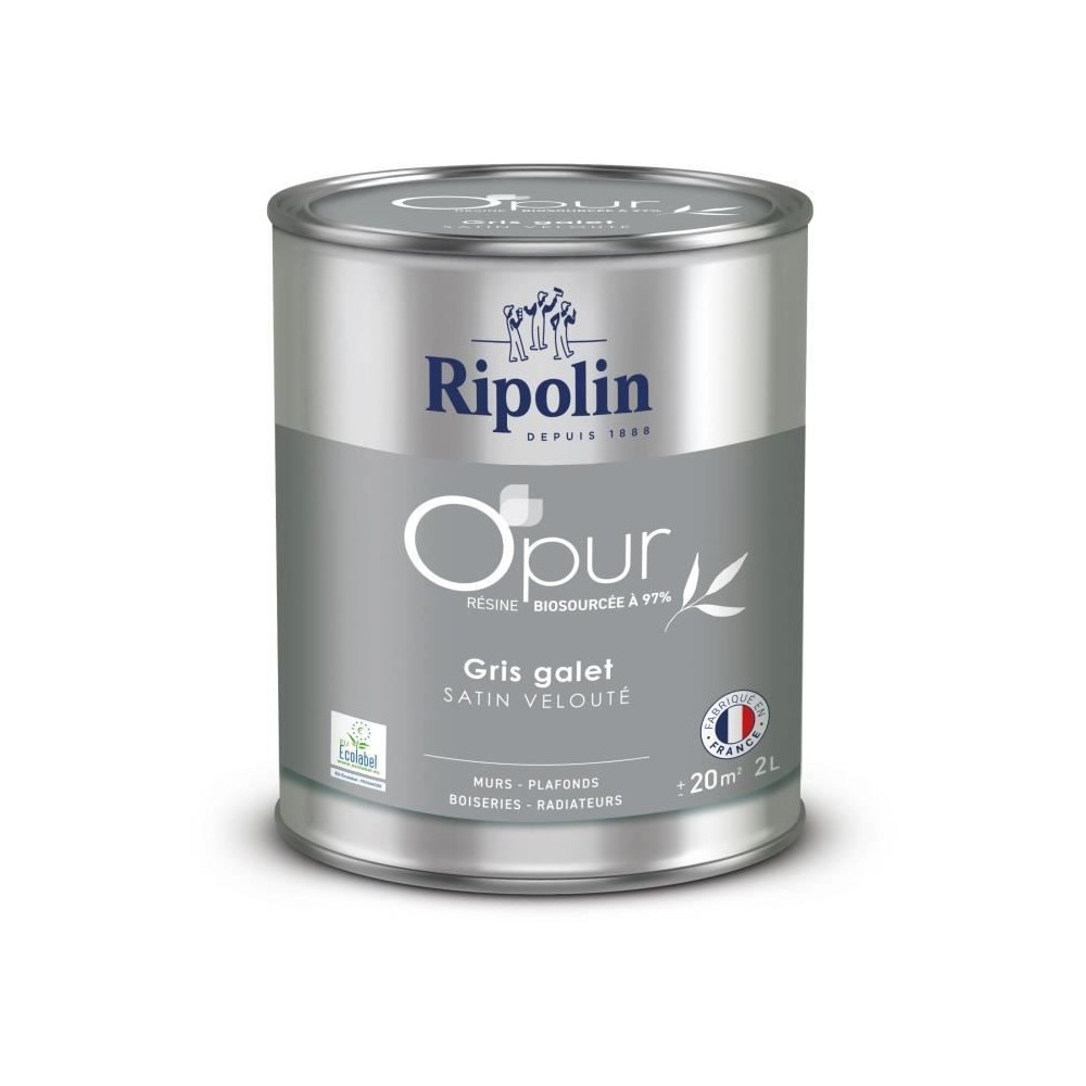 Peinture O'PUR murs, boiseries & radiateurs - RIPOLIN - 472824 - Gris