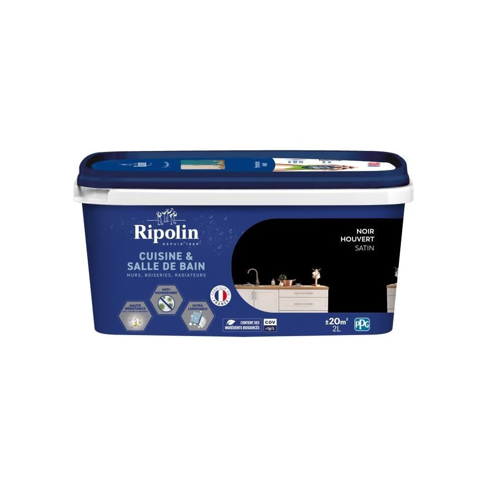 Peinture murs, boiseries, plafonds, radiateurs - RIPOLIN - Cuisine et