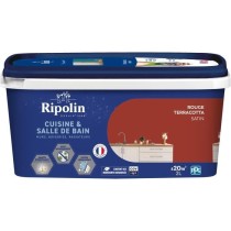 Peinture murs, boiseries, plafonds, radiateurs - RIPOLIN - Cuisine et