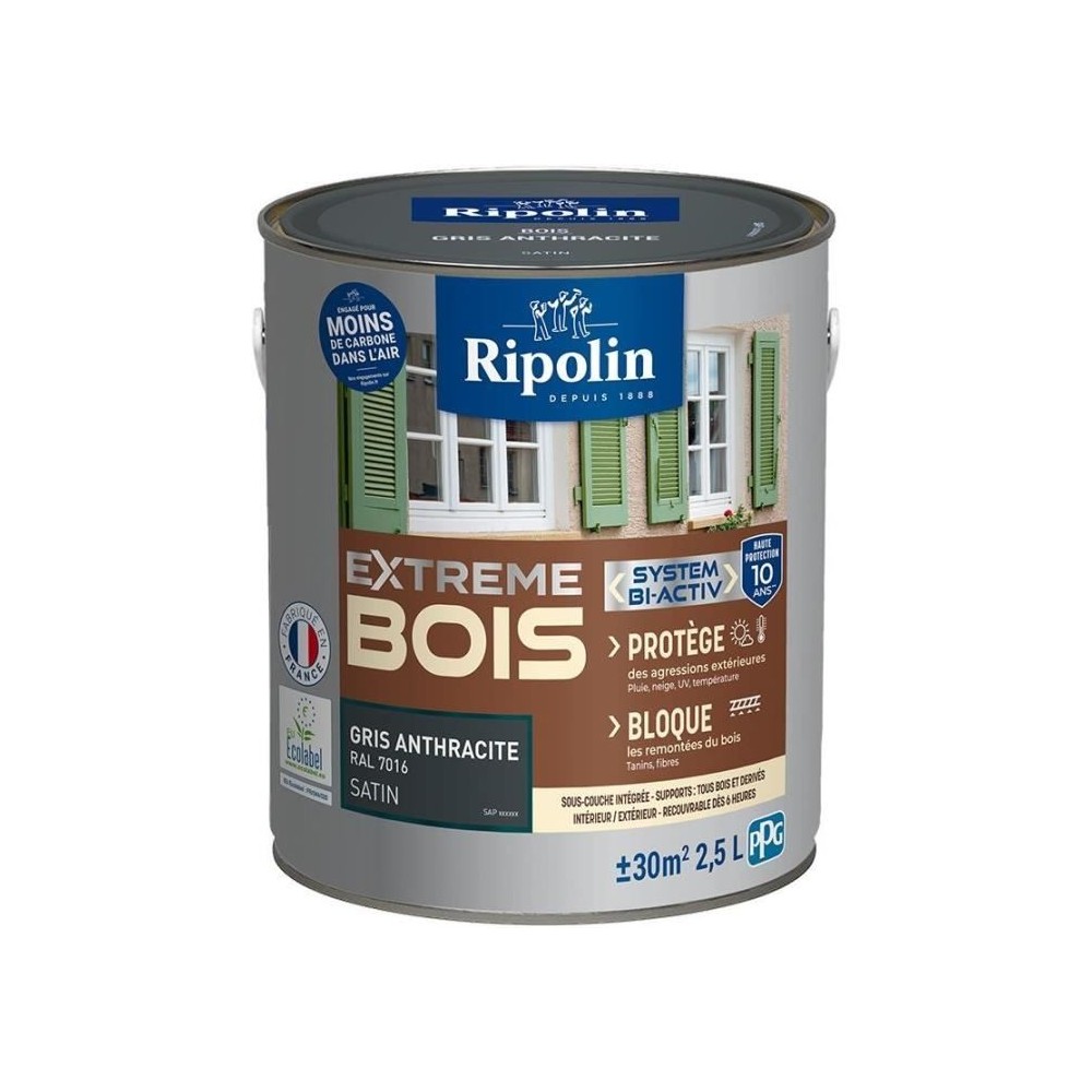 RIPOLIN PROTECTION EXTREME BOIS GRIS ANTHRACITE RAL70 Satin 2,5 L