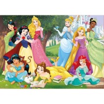 Puzzle Disney Princesses 500 pieces - Marque Educa - Theme Dessins ani