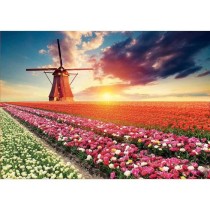 Puzzle paysage et nature - EDUCA - 1500 pieces - Rose - pour adulte