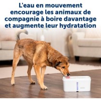 Fontaine a eau - PETSAFE - VIVA - 4,1 L - Blanc