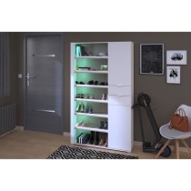 Armoire a chaussures SHoeS - Décor chene et Steam Black - 2 portes +