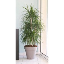 RIVIERA Pot de fleurs Loft avec réserve d'eau - Rond - Ø 50 x H 46 c