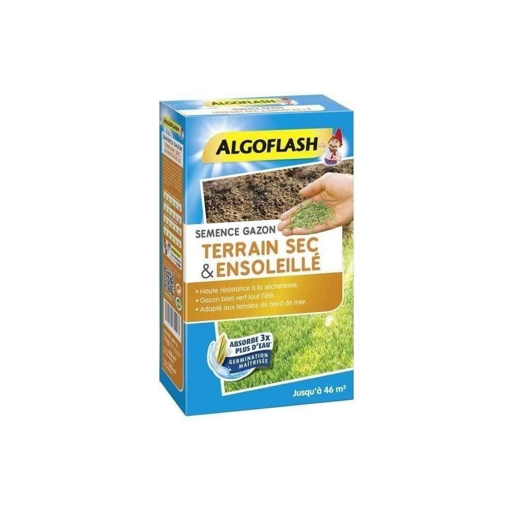 ALGOFLASH - Gazon terrain sec ensoleillé 1kg