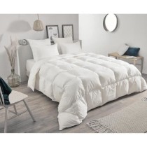 Couette - TOISON D'OR - Daisy chaude - 220x240cm - Plumette et duvet