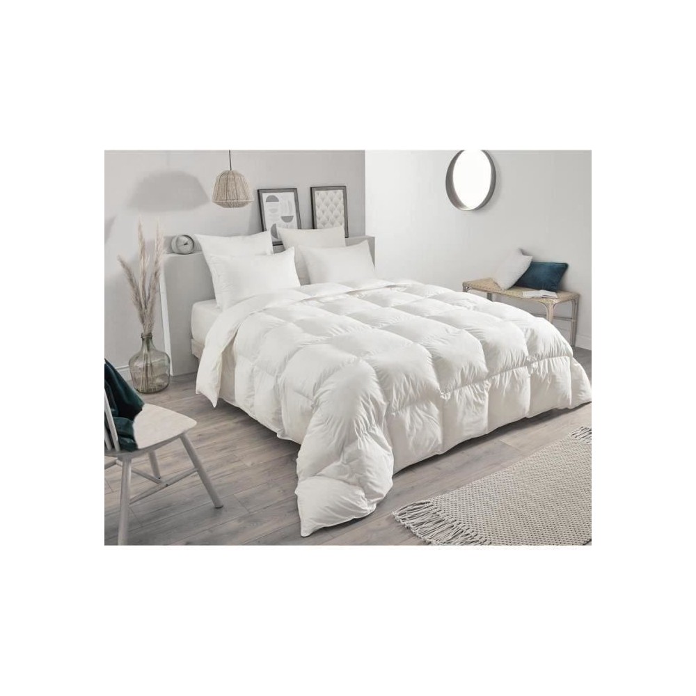 Couette - TOISON D'OR - Daisy chaude - 220x240cm - Plumette et duvet