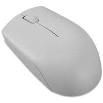 Souris sans fil compacte Lenovo 300 avec batterie - Gris