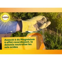 SOLABIOL SOCHAUX10 Carbonate De Chaux Et De Magnesium 10kg, Efficace