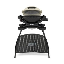 WEBER Barbecue gaz Q 1000 Stand Gas Grill