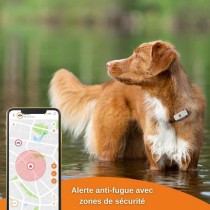 Traceur GPS pour Chien - Weenect XS (White Edition 2023)