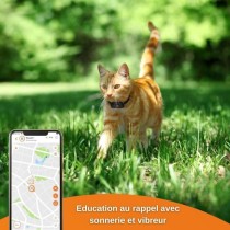 Traceur GPS pour Chat - Weenect XS (Black Edition 2023)