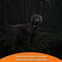 Traceur GPS pour Chien - Weenect XS (Black Edition 2023)