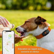 Traceur GPS pour Chien - Weenect XS (Black Edition 2023)