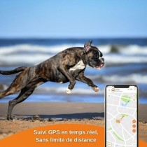 Traceur GPS pour Chien - Weenect XS (Black Edition 2023)