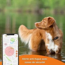 Traceur GPS pour Chien - Weenect XS (Black Edition 2023)