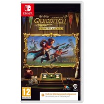 Harry Potter : Champions de Quidditch - Jeu Nintendo Switch (Code dans