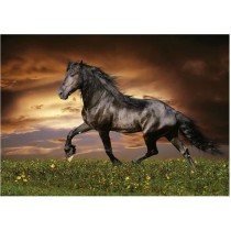 CHEVAL AU TROT - Puzzle de 1000 pieces