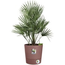 Pot De Fleurs Rond GREENSENSE AQUA CARE - Plastique Réservoir - Avec