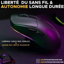 Souris Gamer Competitif - Avec ou sans fil - The G-Lab - KULT-TITAN -