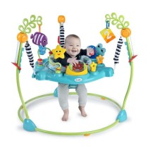 BABY EINSTEIN Ocean Explorers Curiosity Cove aire d'éveil éducative