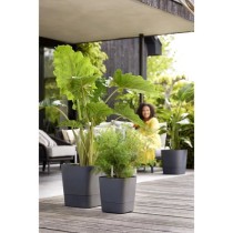 Pot de fleur Elho Plastique Carré Greensense Aqua Care Gris Charbon 3