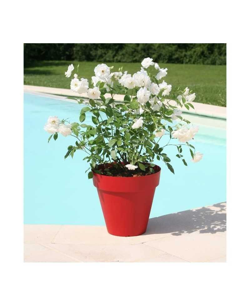 RIVIERA Pot de fleurs Soleilla - Rond - Ø 49 x 44,8 cm - Rouge