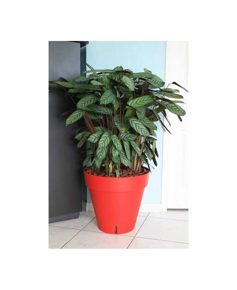 RIVIERA Pot de fleurs Loft avec réserve d'eau - Rond - Ø 50 x H 46 cm - Rouge