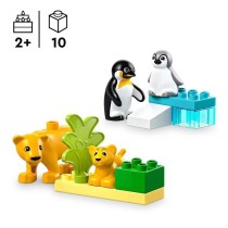 LEGO DUPLO Ma ville 10442 Familles d'animaux sauvages : pingouins et l