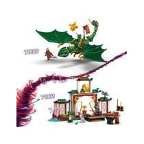 LEGO NINJAGO 71831 Le temple de Spinjitzu des Ninjas - Jouet dragon po