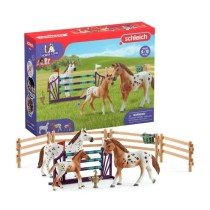 Entraînement au concours du Horse Club, coffret schleich avec 17 él