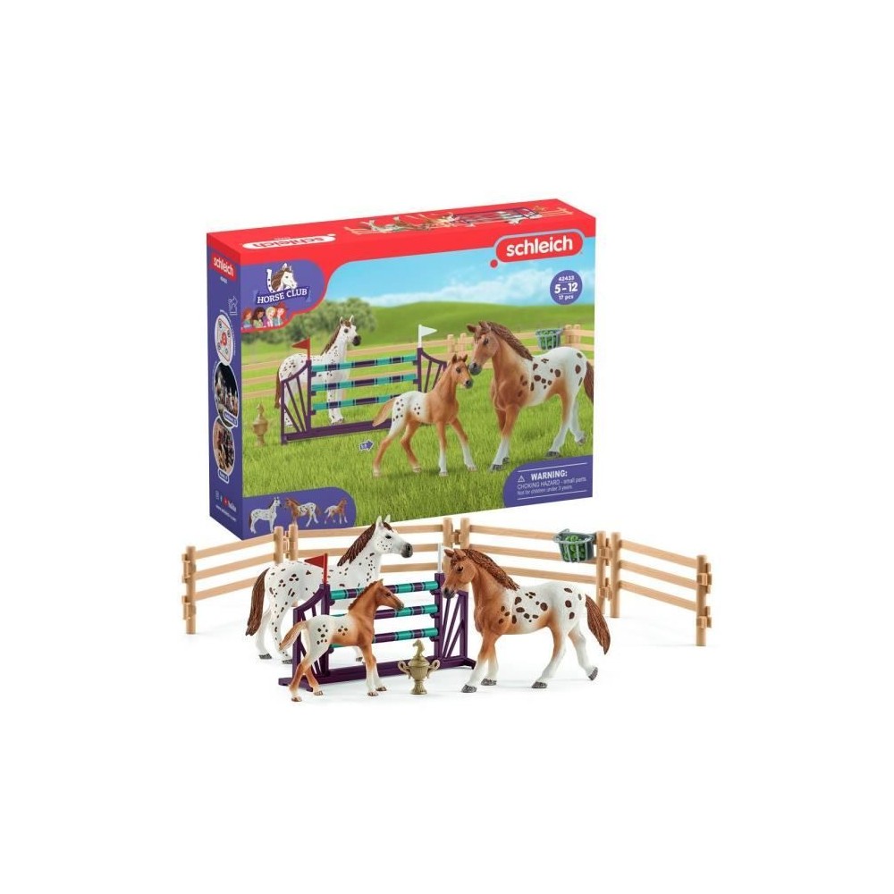 Entraînement au concours du Horse Club, coffret schleich avec 17 él