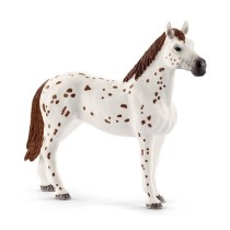 Entraînement au concours du Horse Club, coffret schleich avec 17 él