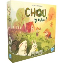 Chou y es tu - Asmodee - Jeu simple d'observation et de strategie - De