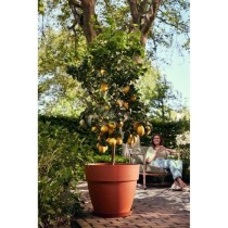 ELHO Vibia Campana Pot de fleurs Rond 65 - Marron - Ø 65 x H 56 cm -