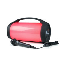 BIGBEN PARTYBTPRO Bluetooth speaker - USB SD AUX IN - 38 CM + WIRELESS