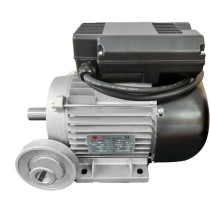 DOMAC Electric motor 3cv / 230V with pulley