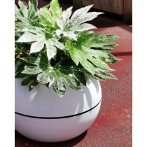 RIVIERA GRANIT BOULE round flower box - Plastic - Diameter 50 cm - Whi