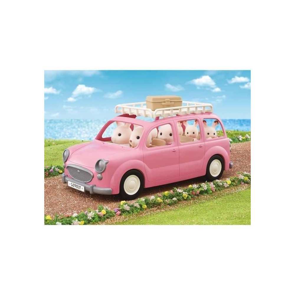 The pink minivan and picnic set