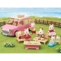 The pink minivan and picnic set