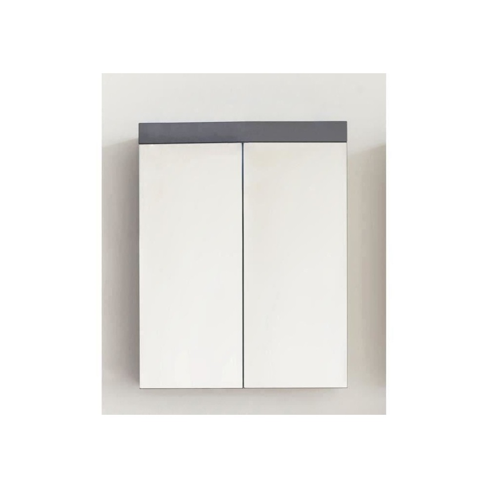 Bathroom Mirror Cabinet - AMANDA - 2 mirror doors - Grey - 60x17x77cm