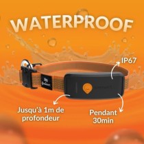 GPS dog collar - WEENECT Dog XT - XL antenna - Waterproof - Julius-K9