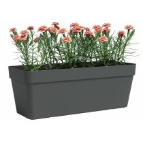 Planter - Plastic - Anthracite - Rectangular - L49.9 x D20 x H18.1cm -