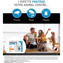 FRONTLINE 3 Pipettes antiparasitaires SPOT ON Chien - 2 a 10 kg - Puce