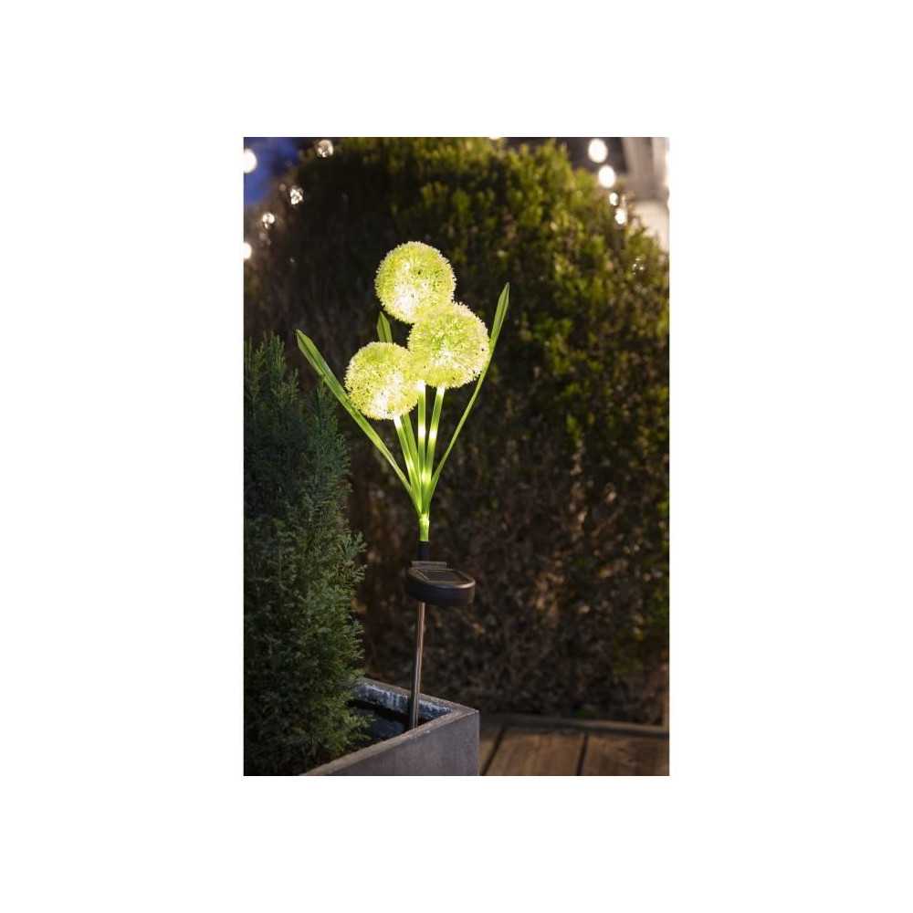 Décoration lumineuse - GALIX - G4510 - Energie solaire : Fleurs