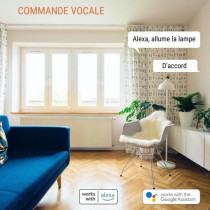 Lot de 2 prises connectées Wi-Fi + BT - KONYKS - Priska FR Dual Pack