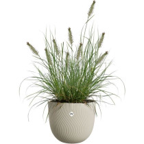 Pot de fleurs - ELHO - Sereh Rond 30 - Beige - L 30 x B 29.5 x H 25 cm